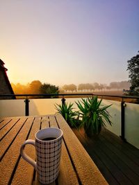 Potted plants on table by swimming pool against sky