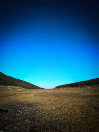 Scenic view of field against clear blue sky