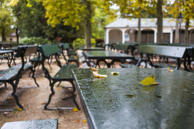 Chairs and leaves on table in park