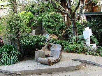 Plants by swimming pool against trees