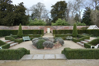 Plants growing in garden