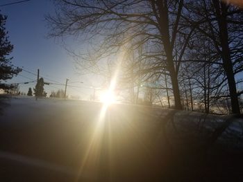 Snow covered bare trees against sky during sunset