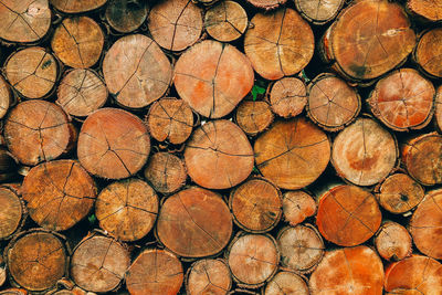 Full frame shot of logs in forest