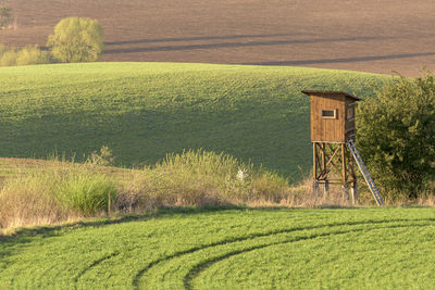 Scenic view of agricultural field