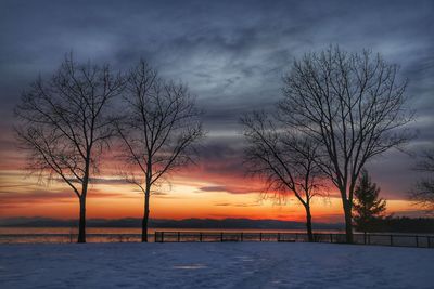 Silhouette bare trees against sky during sunset