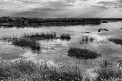 Scenic view of lake against sky