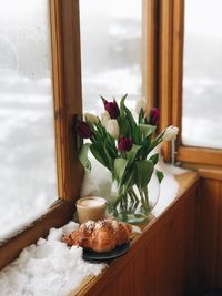 Close-up of potted plant on table by window at home