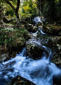 View of waterfall in forest