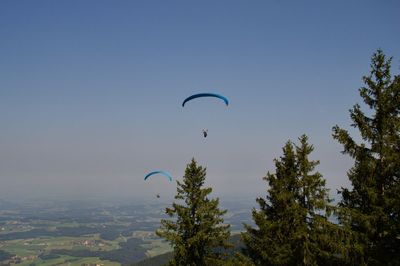 Scenic view of trees against sky