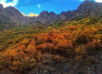 mountain