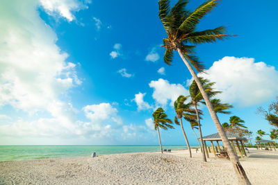 Palm trees on beach against sky