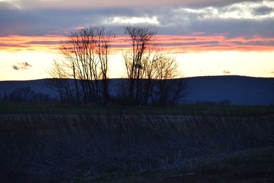 Silhouette of bare trees on field against cloudy sky