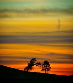 Silhouette of trees at sunset