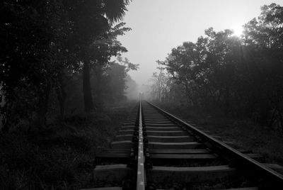 Railroad tracks amidst trees in forest against sky