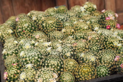 Close-up of fruits for sale in market