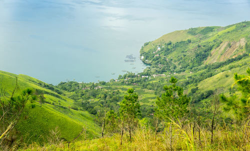 High angle view of plants against calm sea