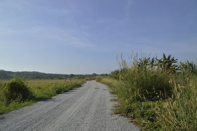 Road amidst plants against sky