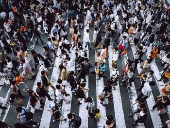 High angle view of crowd walking on zebra crossing