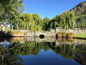 Reflection of trees in calm lake