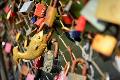 Close-up of padlocks hanging on metal