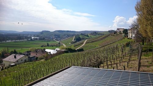 Scenic view of rural landscape