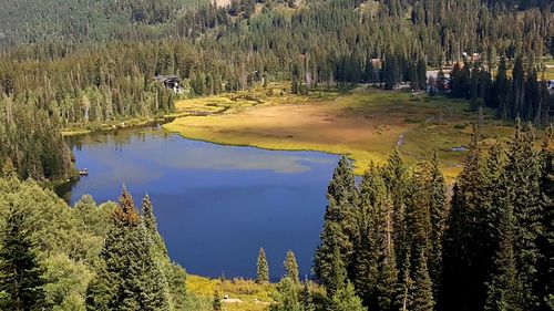 Scenic view of lake in forest against sky