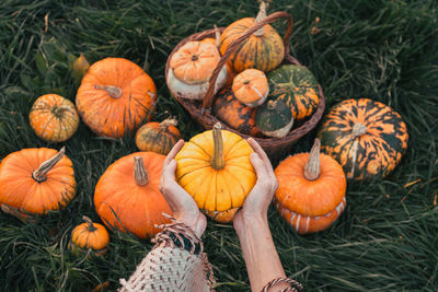 Pumpkins on field