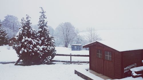 Snow covered trees in winter