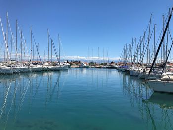 Sailboats in marina