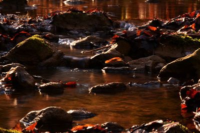 Rocks in sea