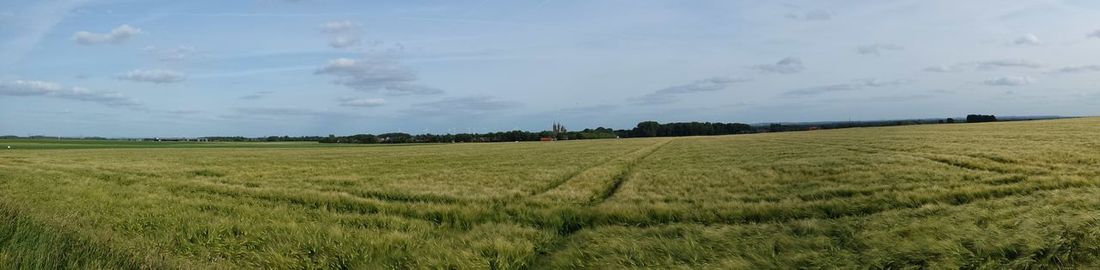 Scenic view of agricultural field against sky