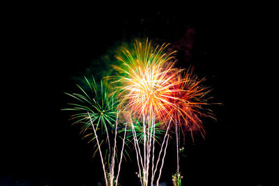 Low angle view of firework display against sky at night