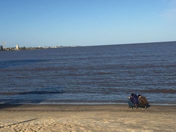 Rear view of man sitting on beach