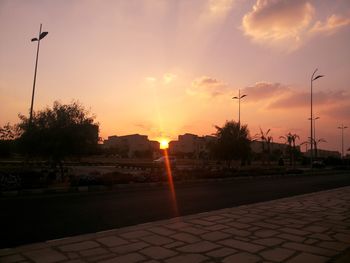 Sun shining through trees