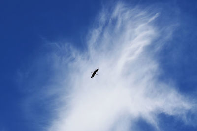 Low angle view of airplane flying against sky