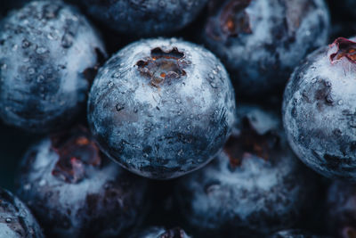 High angle view of fruits