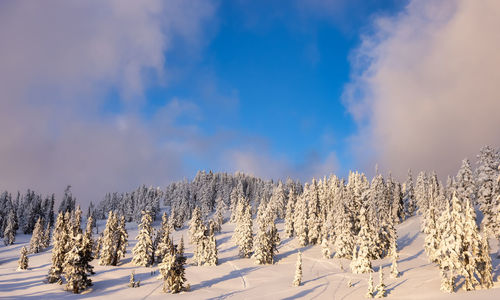 Panoramic view of snow covered landscape against sky