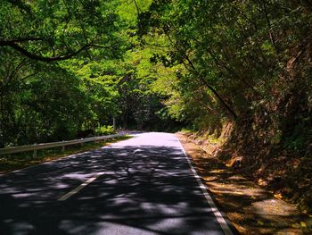 Empty road along trees in park