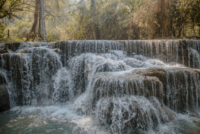 Scenic view of waterfall in forest