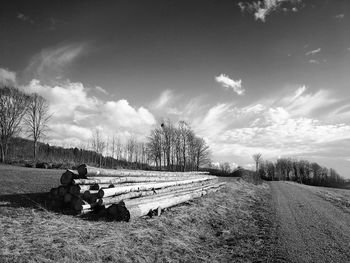 Panoramic view of agricultural field against sky