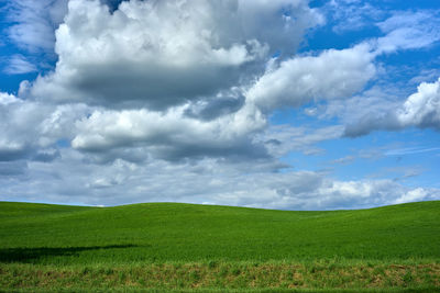 Green grass on small hills and blue sky with clouds.