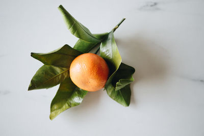 A single orange with leaves on a marble countertop