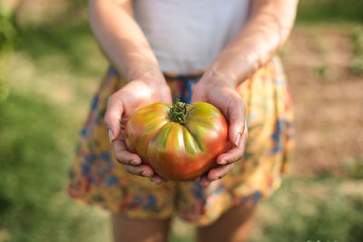 Midsection of man holding fruit on field