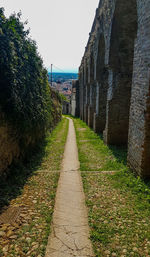 Empty narrow road along buildings