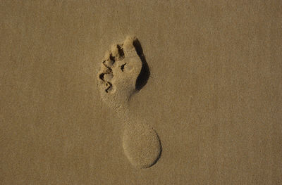 High angle view of footprint on sand