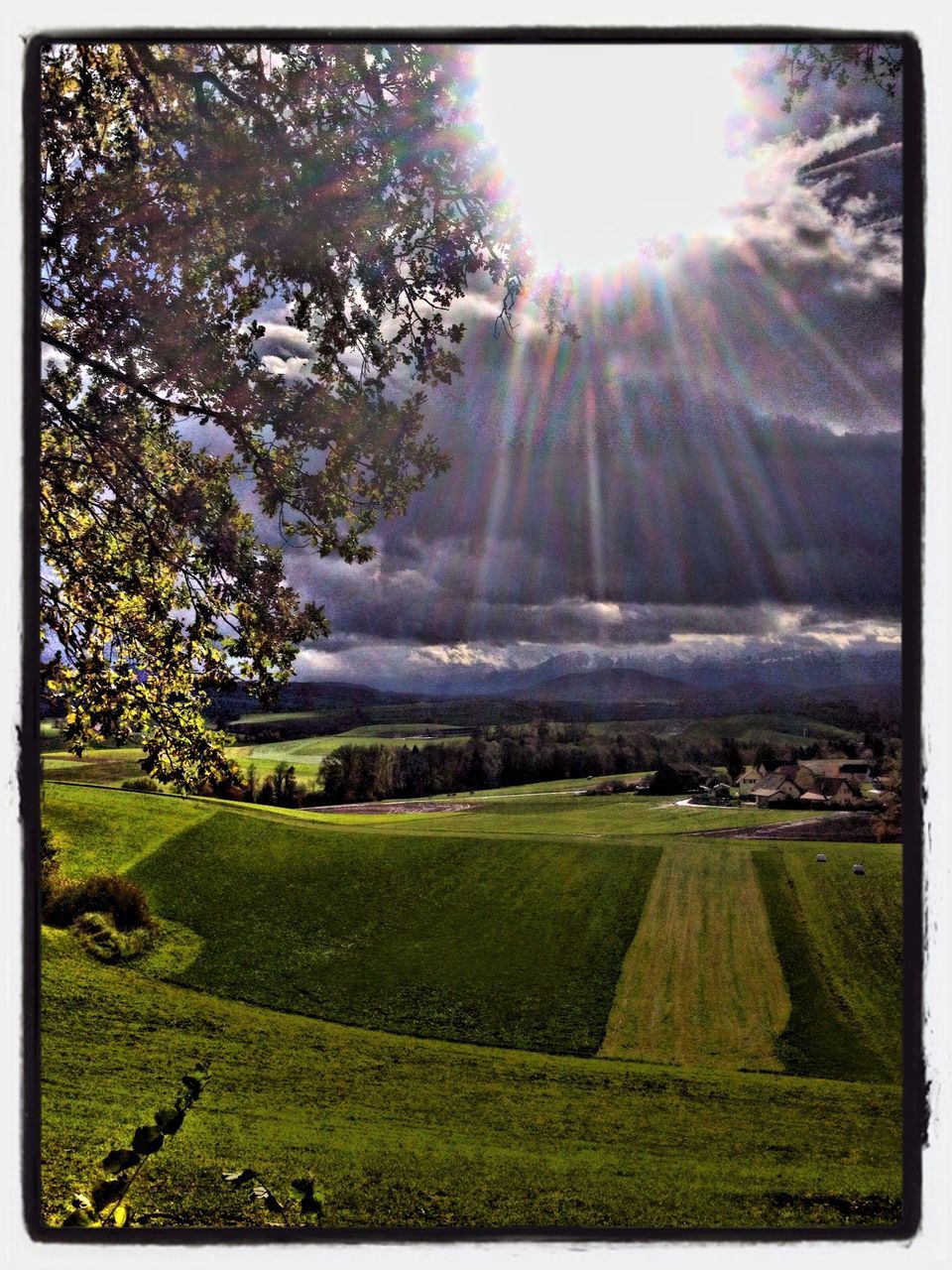 transfer print, sun, sunbeam, sunlight, grass, tree, auto post production filter, field, lens flare, growth, nature, tranquility, sky, beauty in nature, landscape, tranquil scene, sunny, grassy, scenics, green color