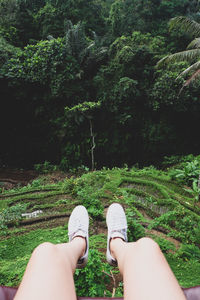 Low section of person legs on plants