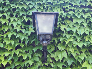 Low angle view of building