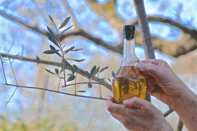 Close-up of hand holding glass bottle