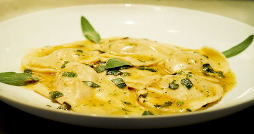 Close-up of meal served in plate